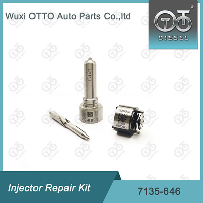 7135 - 646 Delphi Injector Repair Kit