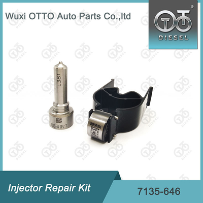 7135 - 646 Delphi Injector Repair Kit