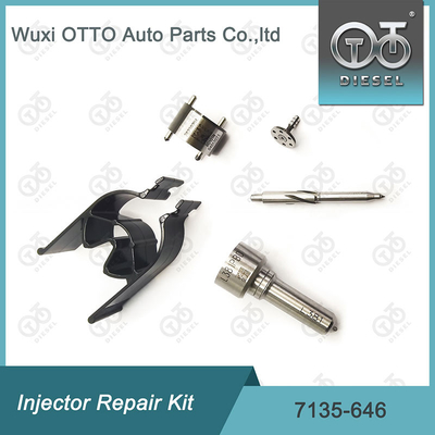 7135 - 646 Delphi Injector Repair Kit